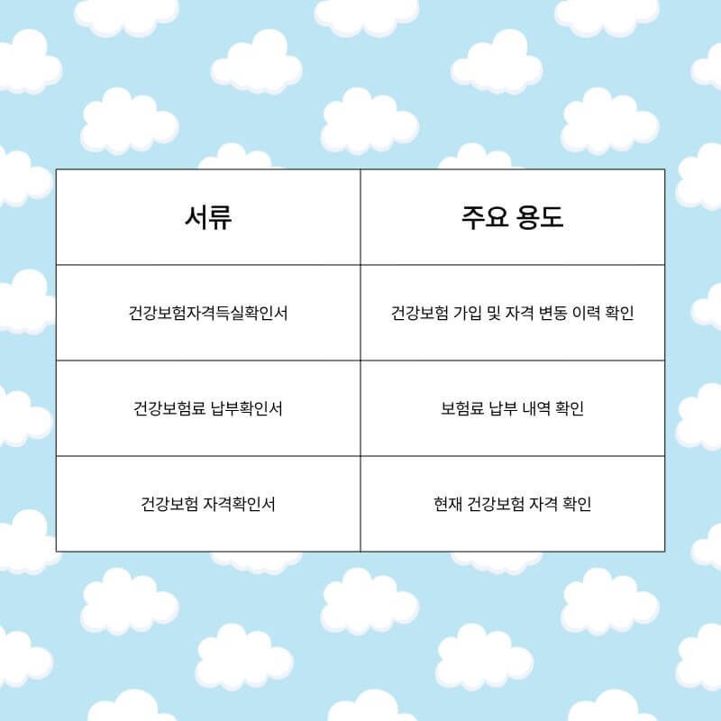 건강보험 관련 증명서 종류 비교표