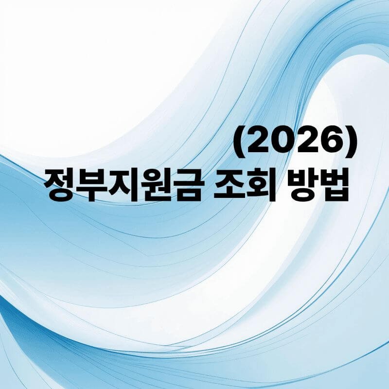정부지원금 조회방법 2026